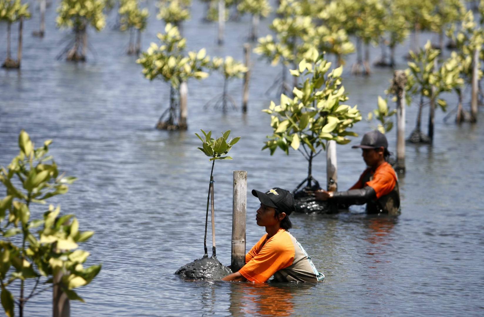 Taking action now to build social and economic resilience 