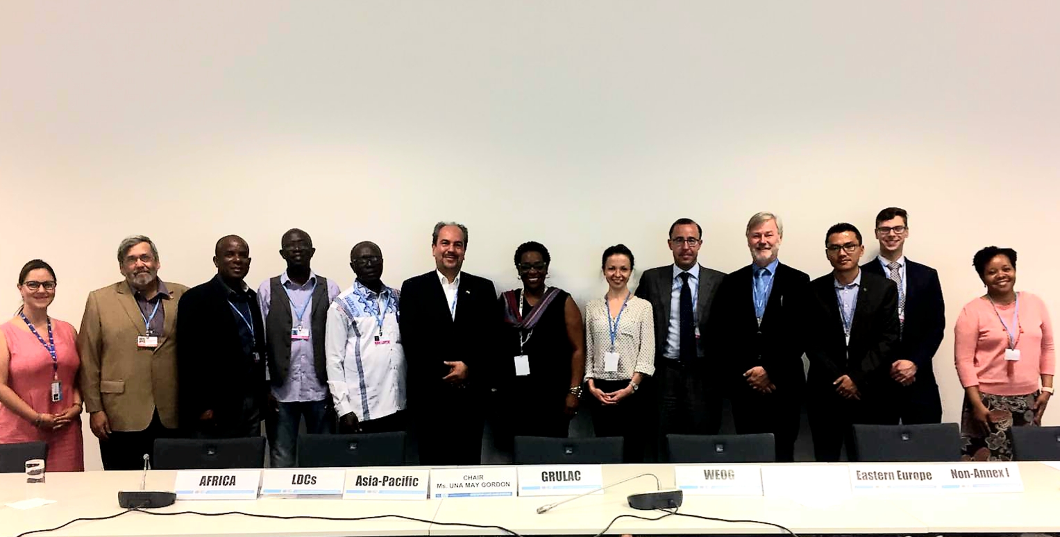 Chairs and Coordinators Elections 