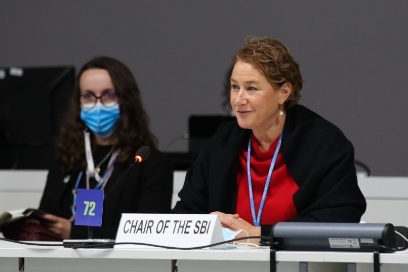 SBI Chair FSV MA event COP26