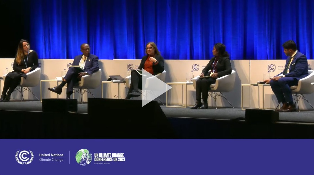 COP26 NBF event video screenshot