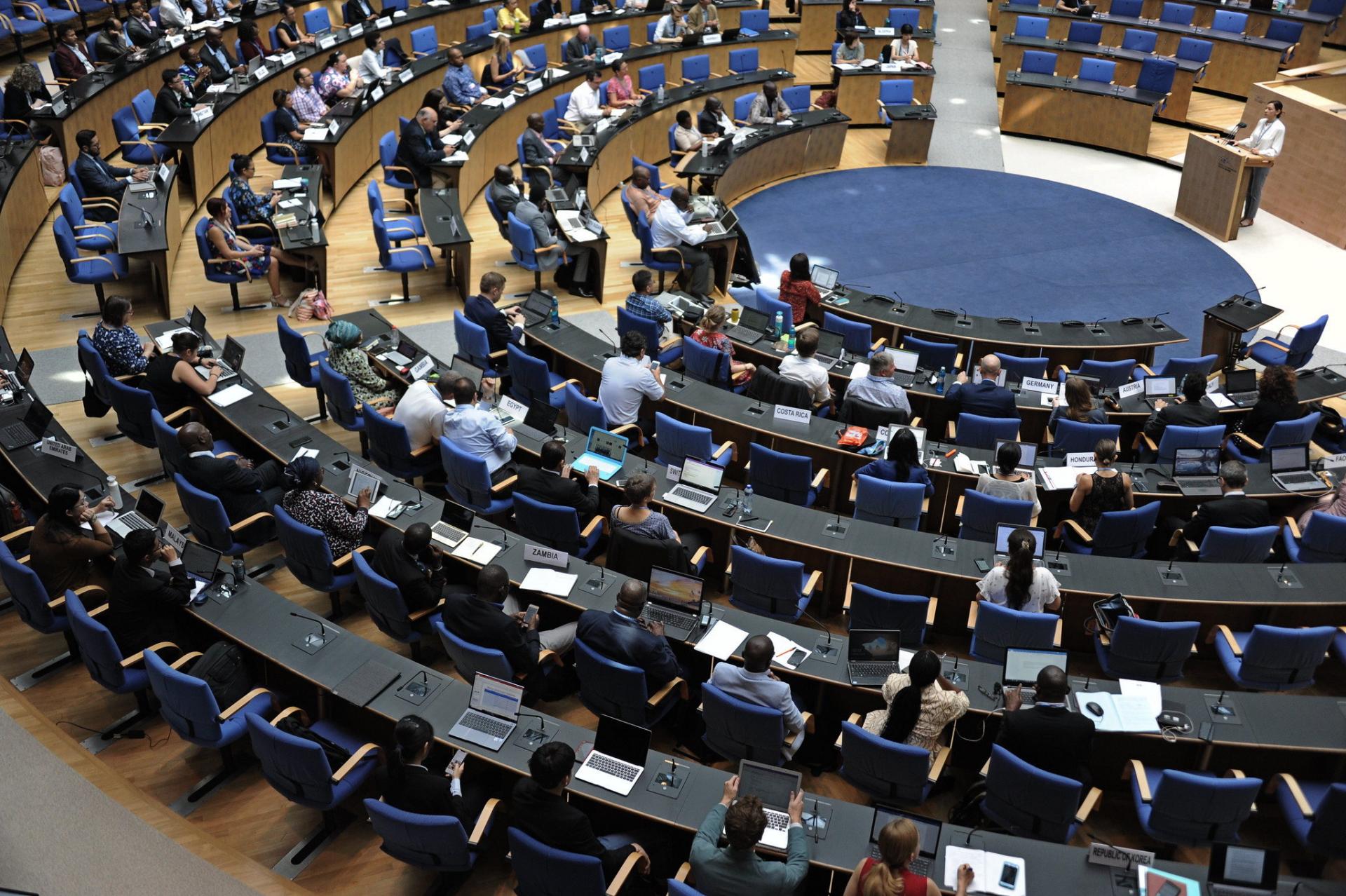 WCCB plenary 2 in 2019