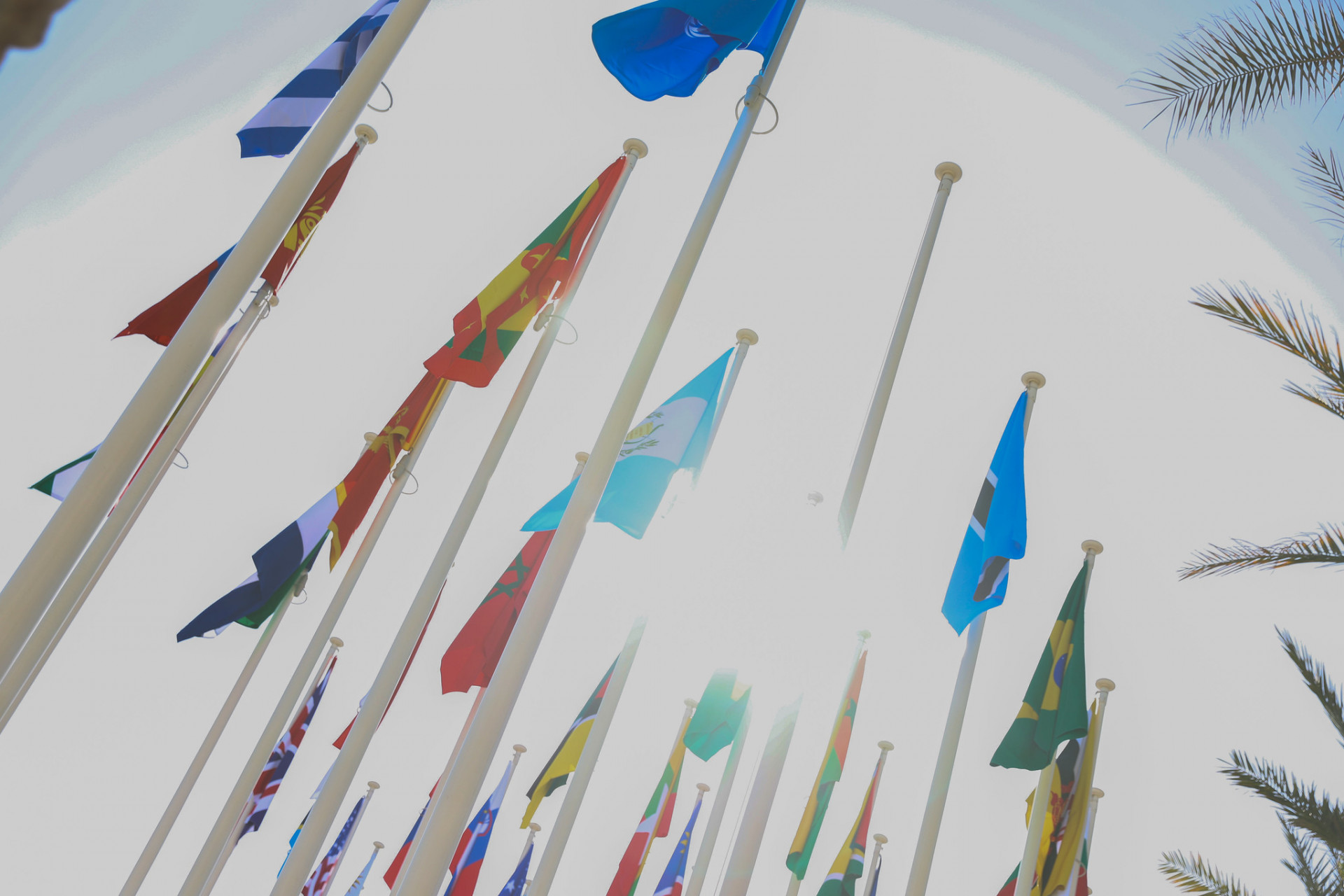 Flags COP28