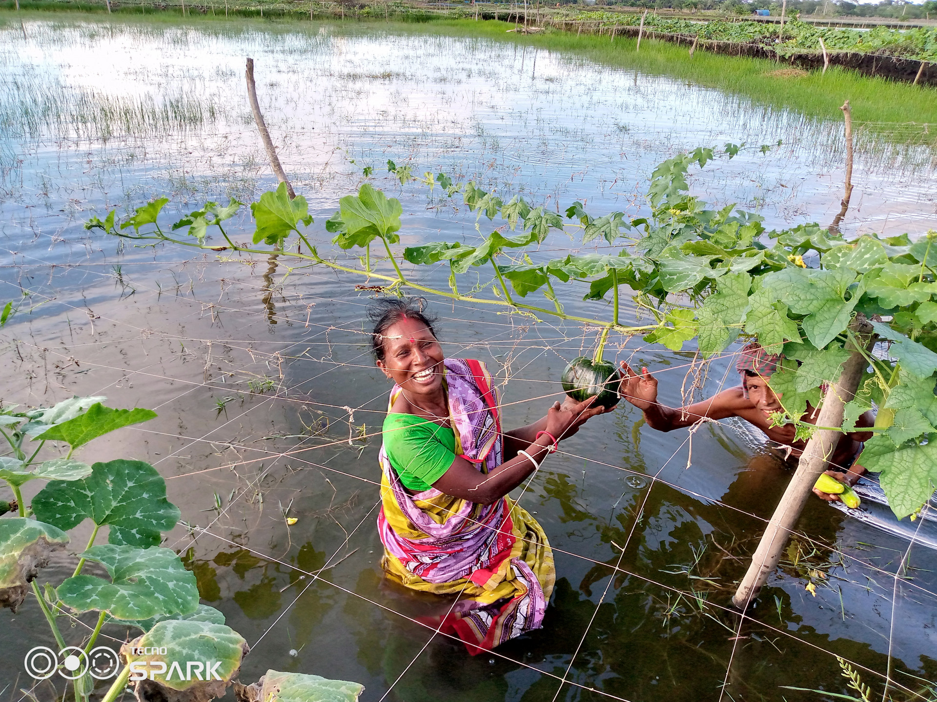 Climate-smart agriculture through integrated farming.