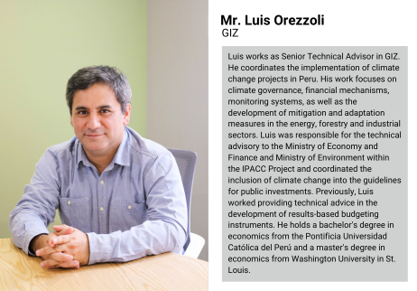 Mr. Luis Orezzoli
