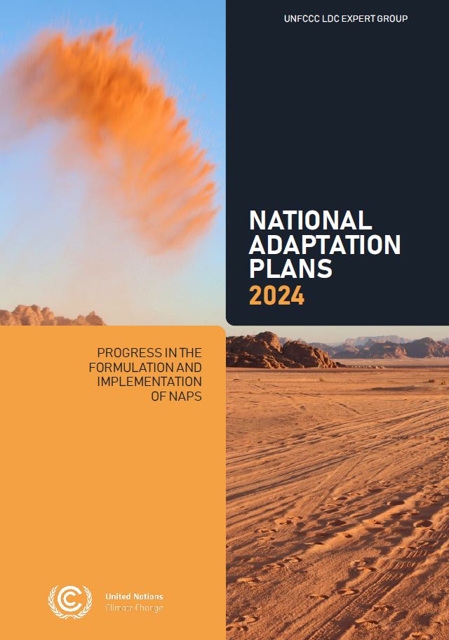 NAP Progress 2024