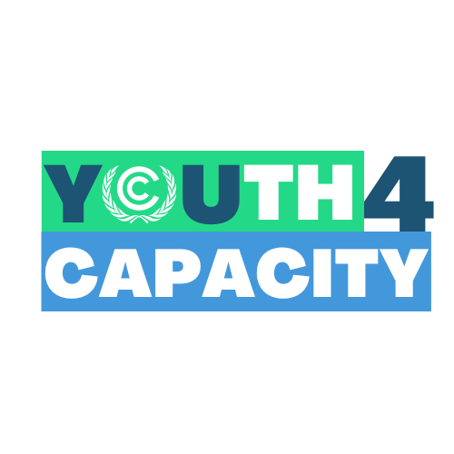 Youth4Capacity logo