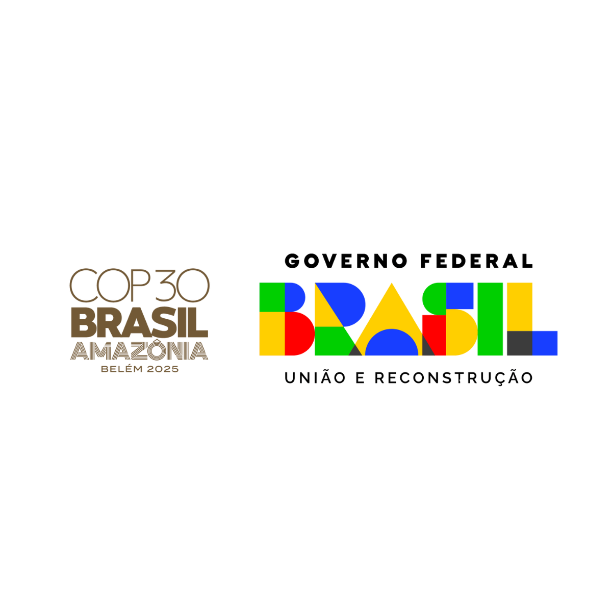 COP30 Amazonia logo