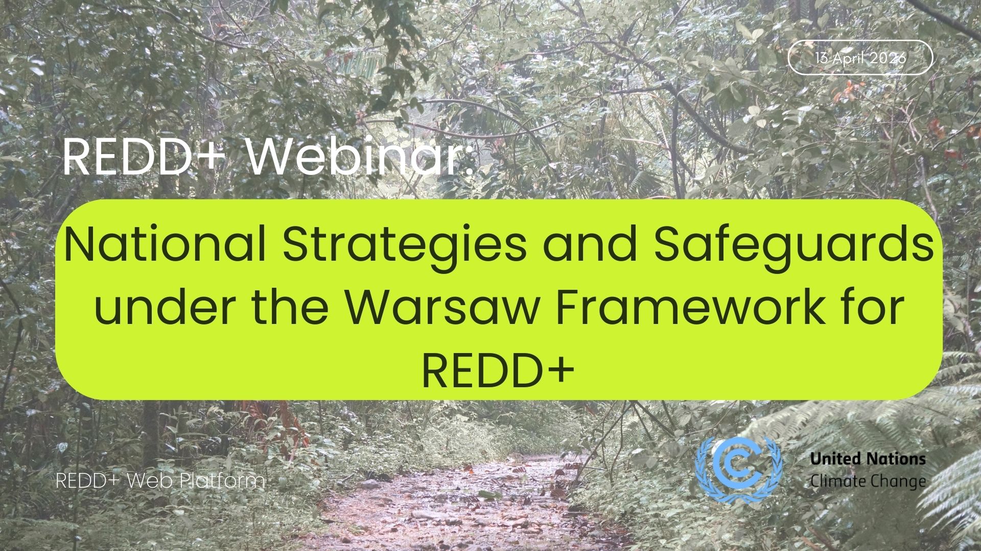REDD+ Webinar NS/SIS logo