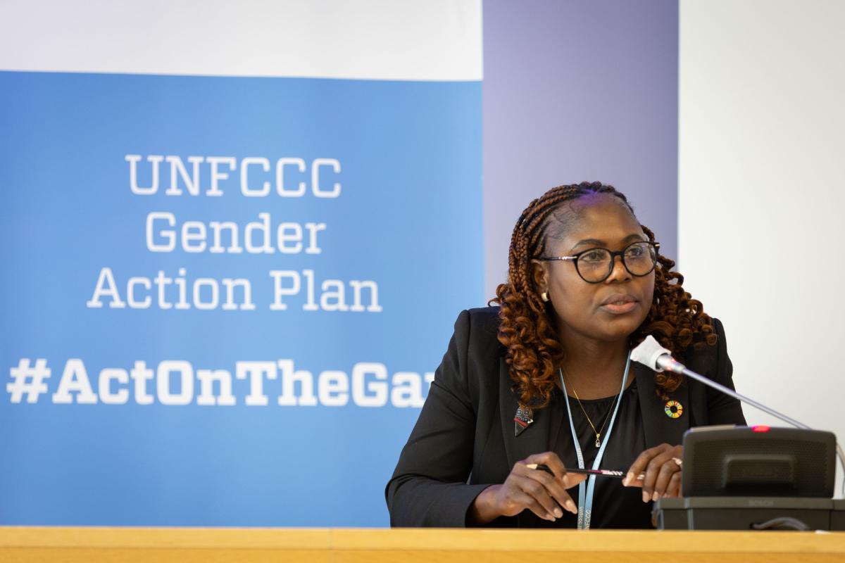 In-session workshop on best practices and tools for strengthening the role of national gender and climate change focal points, including reflection on and description of their role and activities 1