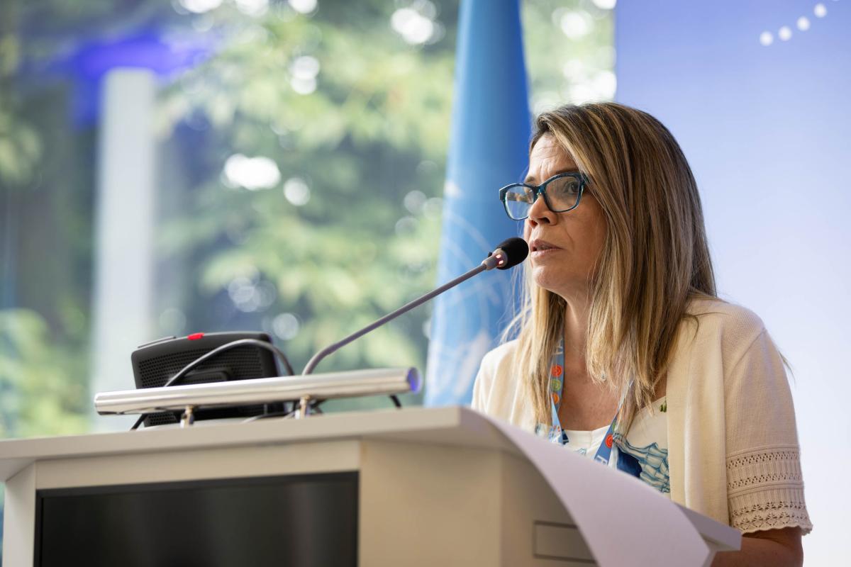 In-session workshop on best practices and tools for strengthening the role of national gender and climate change focal points, including reflection on and description of their role and activities 2