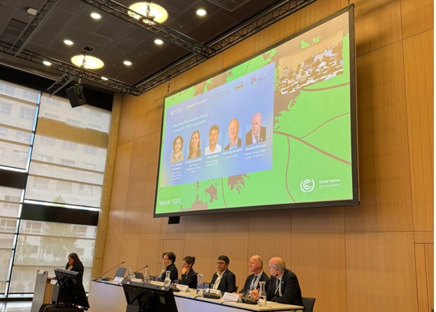 During a panel discussion, the Consultative Group of Experts, UNEP, UNDP, the GEF, ICAT and FAO highlighted their ongoing efforts to provide funding, technical assistance and capacity-building support for transparency reporting.