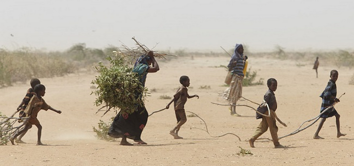 Technical meeting on migration, displacement and human mobility