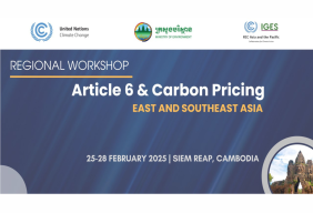 RCC Asia and the Pacific hosted the Regional Workshop on Article 6 and Carbon Pricing for East and Southeast Asia
