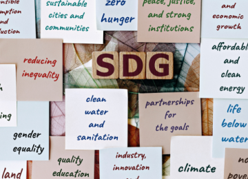 SDGs