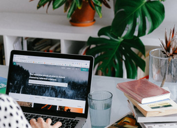 laptop screen with plants in background