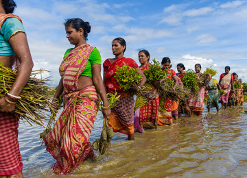 Women are seen queueing up to plant mangrove saplings along the riverbanks of the Matla river in Sundarbans, India.