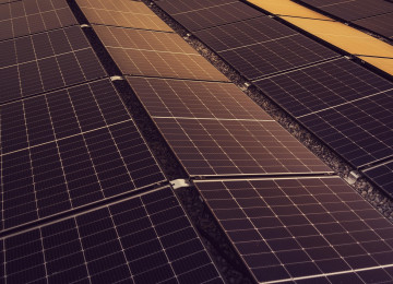 A row of solar panels