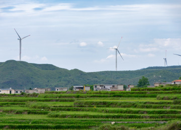 Windmills against a green background