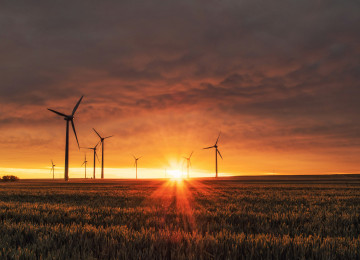 Windmills on a field as the sun is coming up.