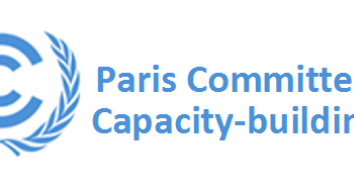 Paris Committee on Capacity-Building