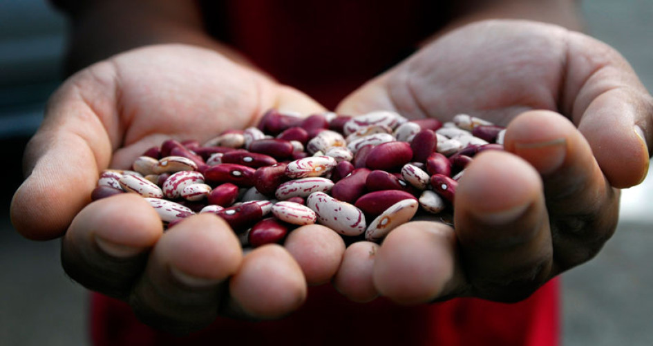 Over 70 percent of the world’s extreme poor live in rural areas
