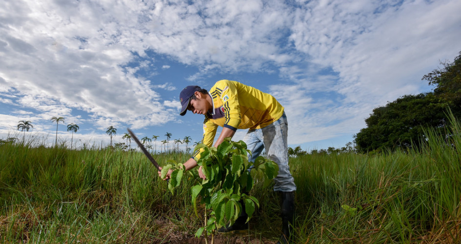 Agriculture is a key factor for the sustainability of rural areas