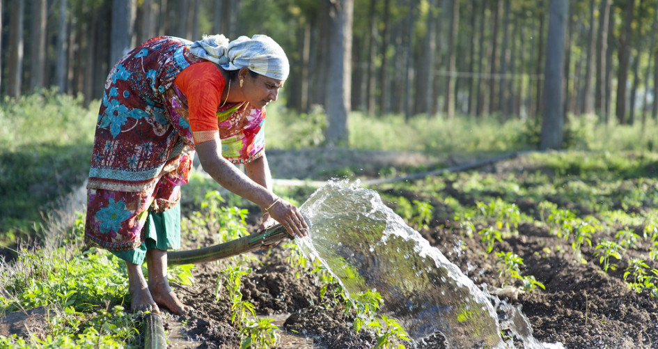 Prioritized action needed on water