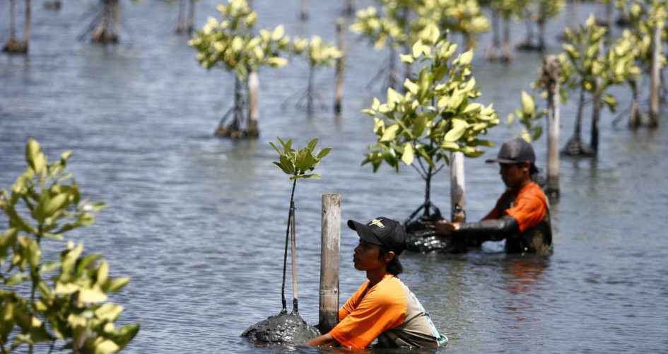 Taking action now to build social and economic resilience 