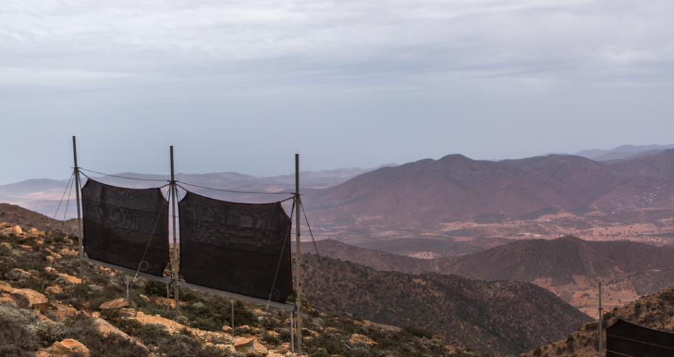 WOMEN-LED FOG HARVESTING FOR A RESILIENT, SUSTAINABLE ECOSYSTEM