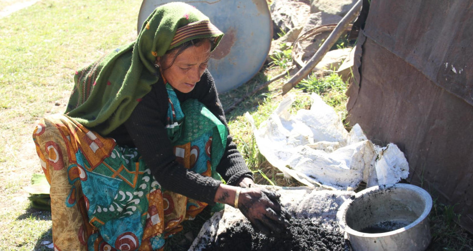 Indian woman making pine briquettes