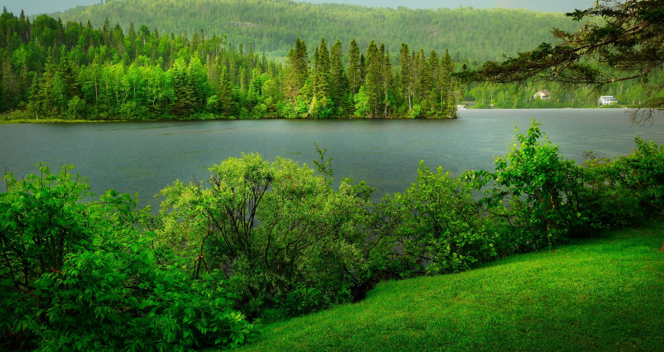 Landscape