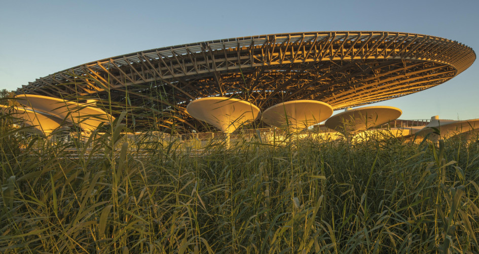 Image of the Sustainability Pavilion 1_UAE
