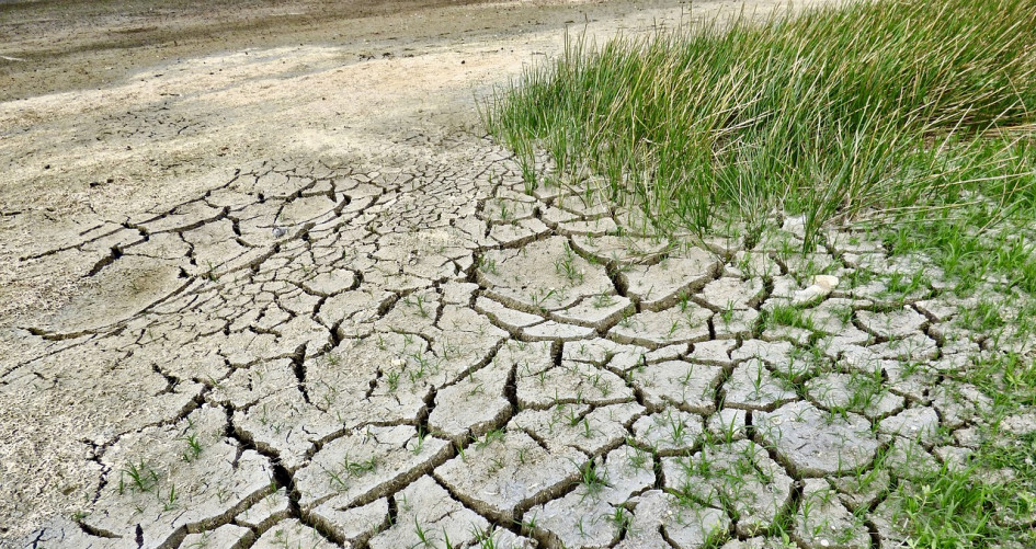 Drought