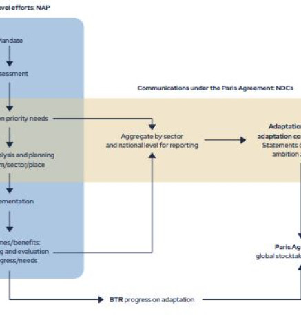 Overview of steps involved in developing a NAP and how these relate to the production of NDCs, adaptation communications and progress reporting in BTRs, ultimately contributing to the global stocktake under the Paris Agreement