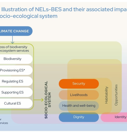Illustration of NELs-BES and their associated impacts on the socio-ecological system