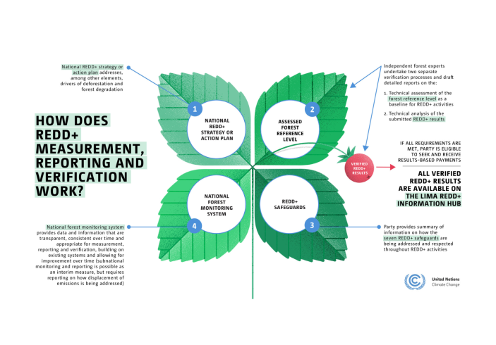 REDD+ infographic 1