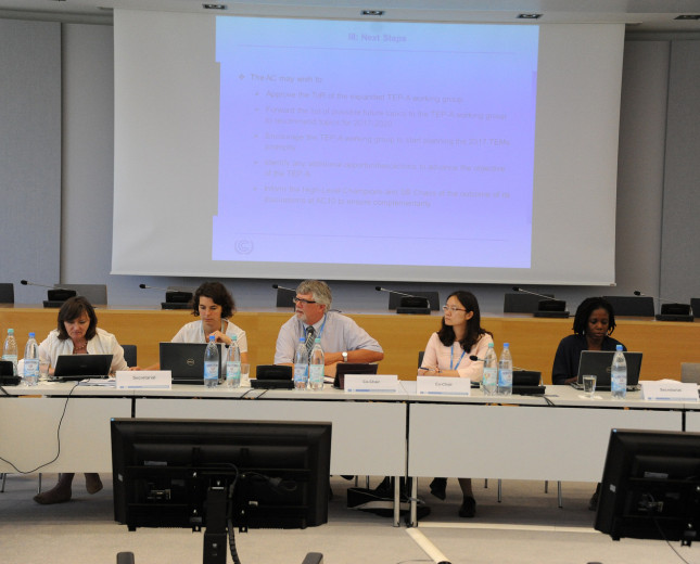 Tenth meeting of the Adaptation Committee (AC10)
