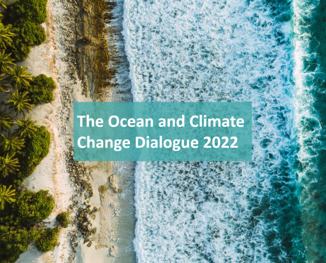 Ocean Dialogue 2022