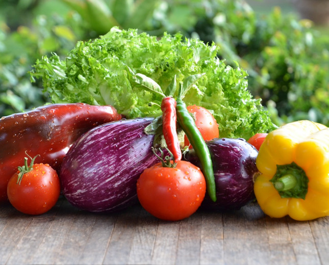 Webinar: Food Security in the NDCs 3.0 of the MENA region