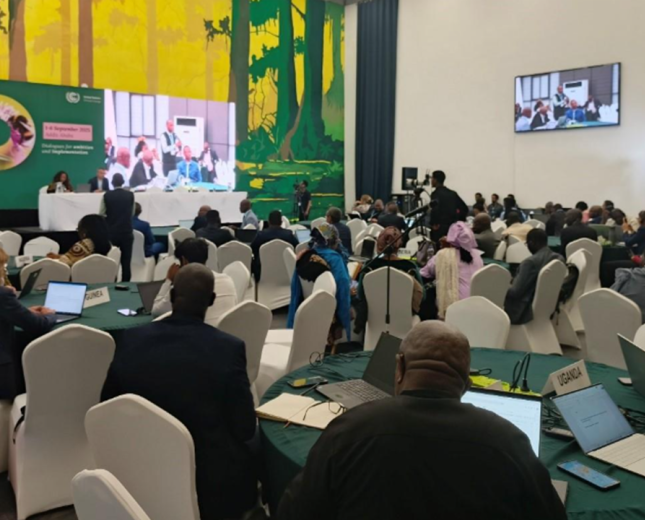 NBF Event - September 2025