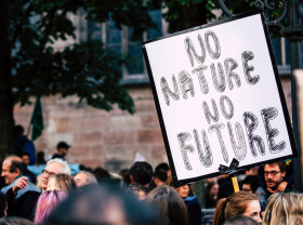 Image of a sign which reads "No Nature, No Future" in the street