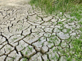 Drought