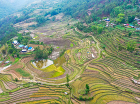 An Interactive Tapestry: Where Nature Meets Climate Adaptation Option 2