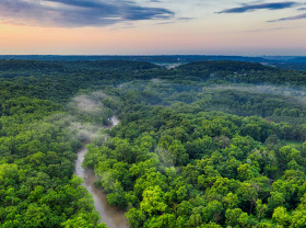 River in a forest.