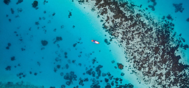 Ocean