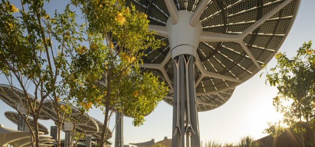 Sustainability Pavilion of UAE_3