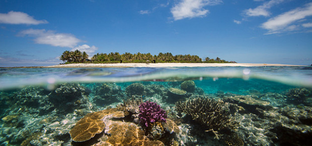 Ocean and Climate Change Dialogue